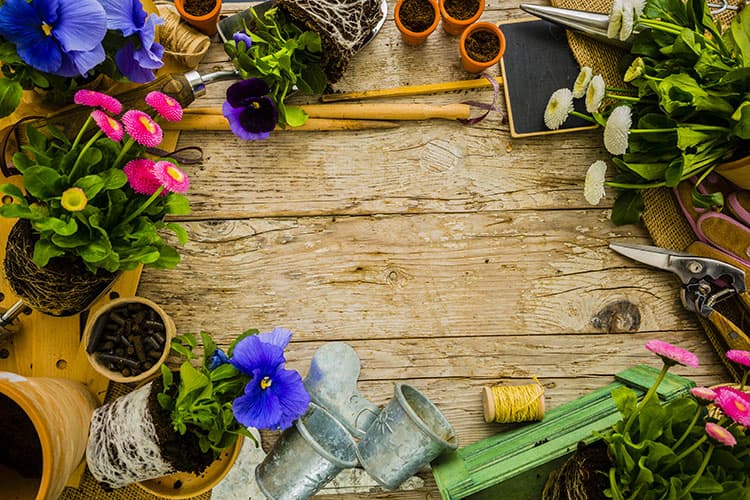 Quels outils utiliser pour travailler la terre ? L'Isle-Jourdain