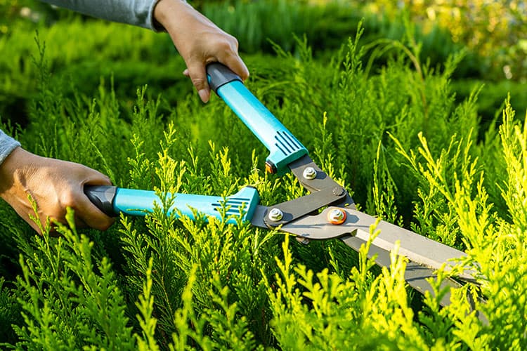 Outillage espaces verts, Fonsorbes