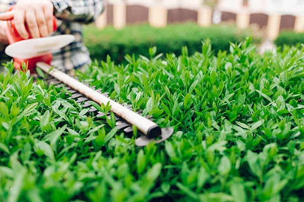 Outillage espaces vert Auch